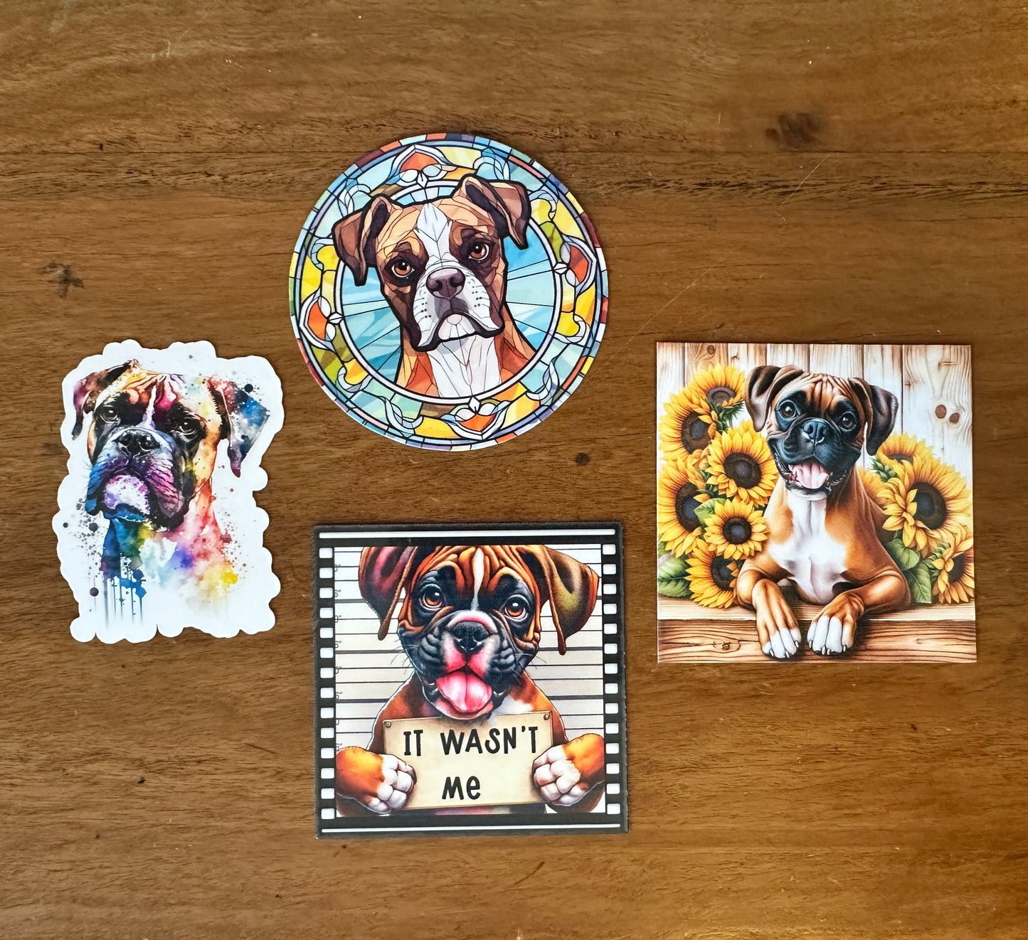 Boxer Mini Bundle