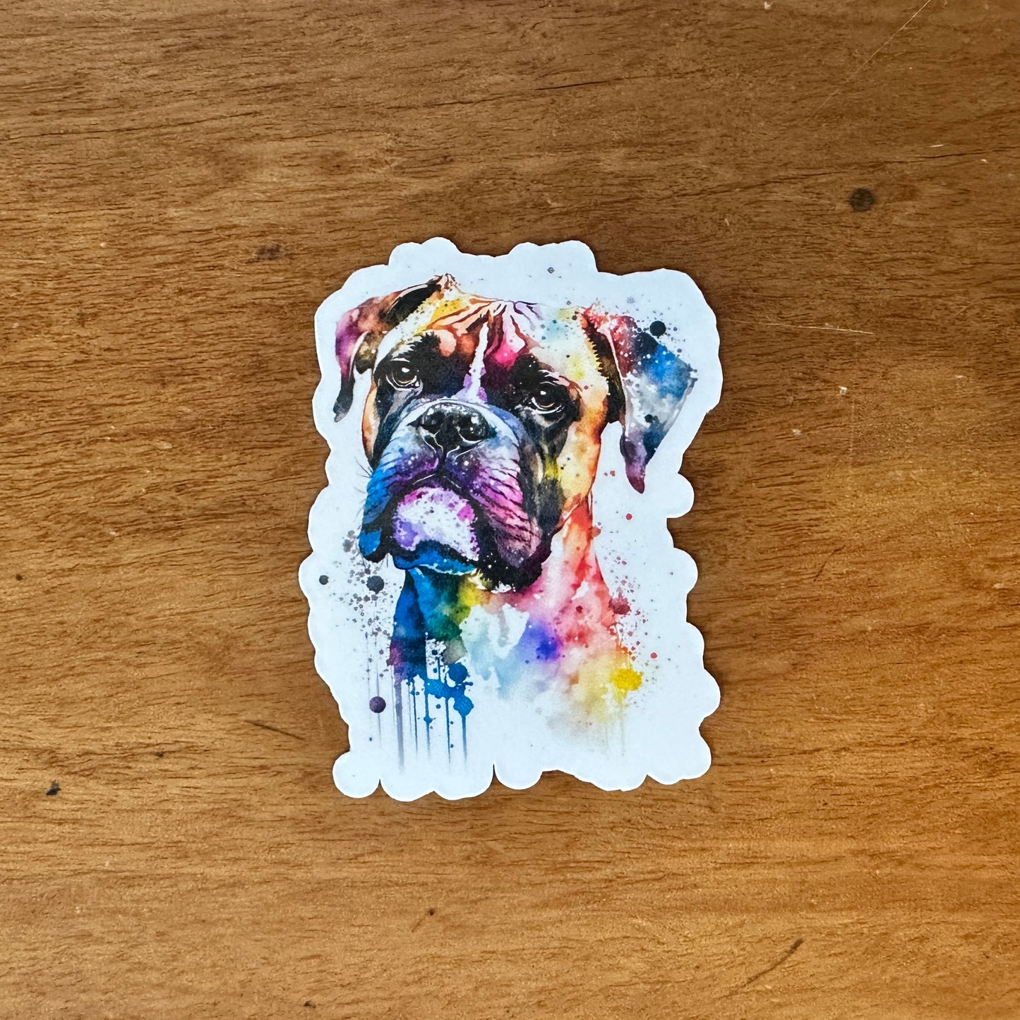 Boxer Mini Bundle