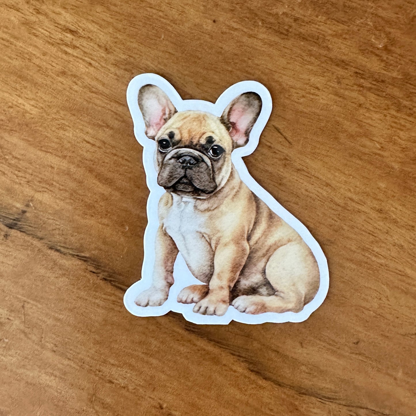 French Bulldog Mini Bundle | 5-pack