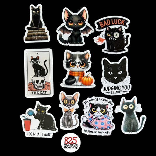 Black Cat Bundle