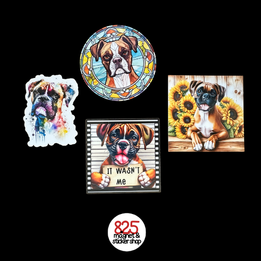 Boxer Mini Bundle