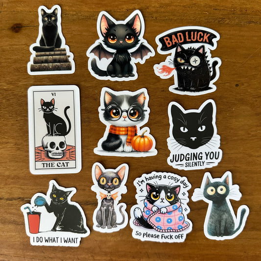 Black Cat Bundle