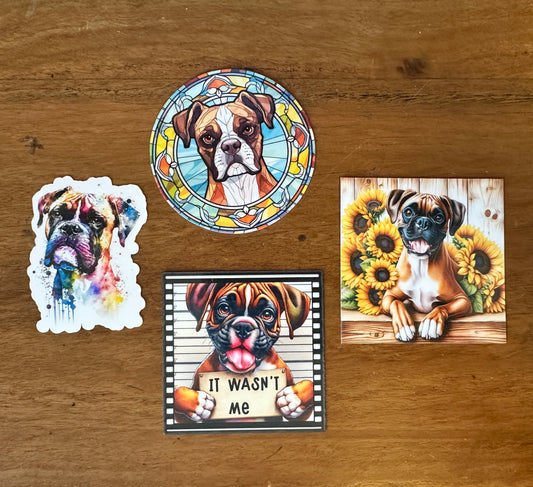 Boxer Mini Bundle