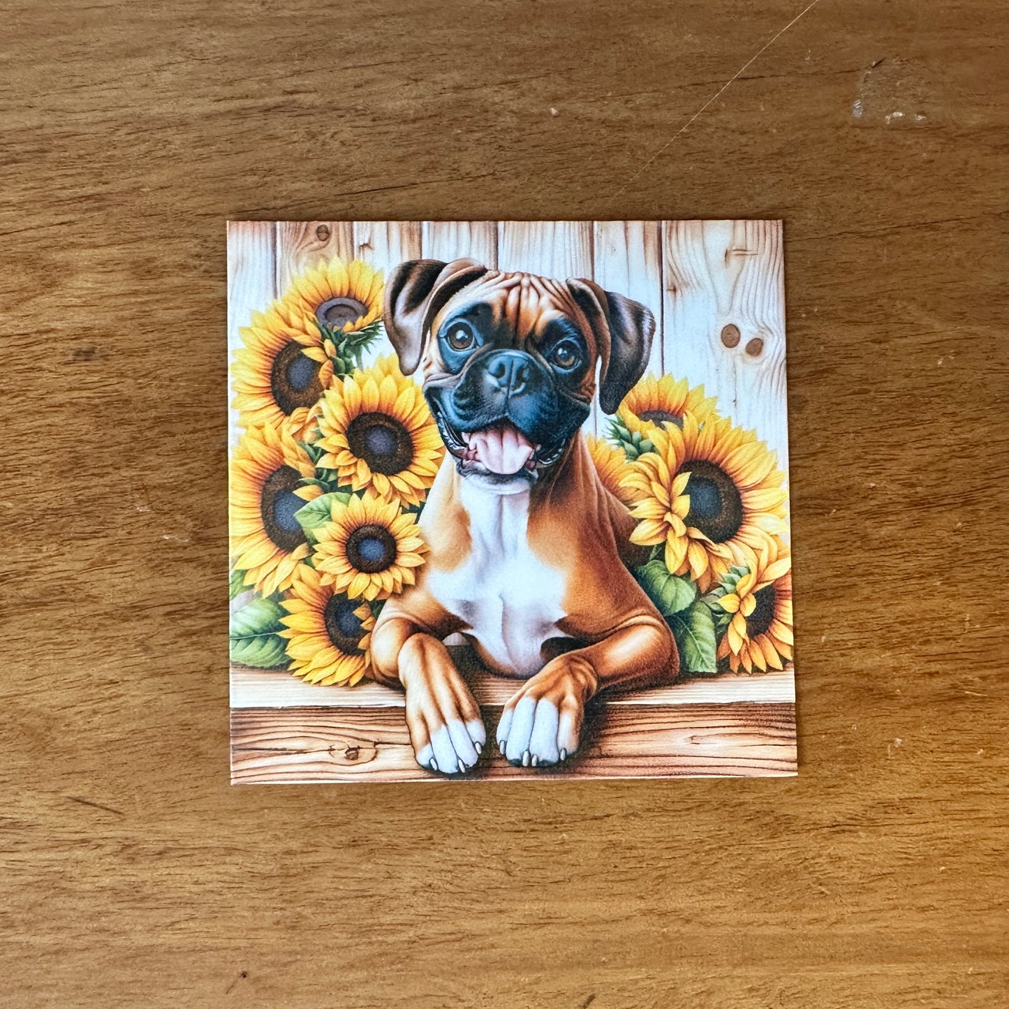 Boxer Mini Bundle