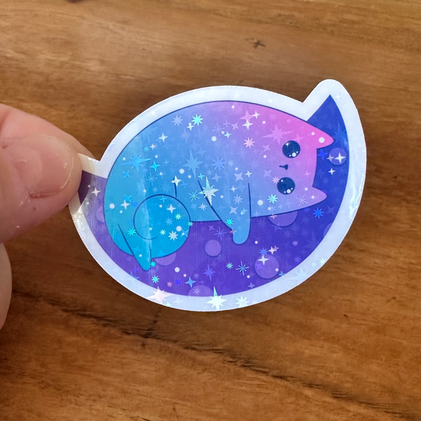 Cosmic Cat Bundle