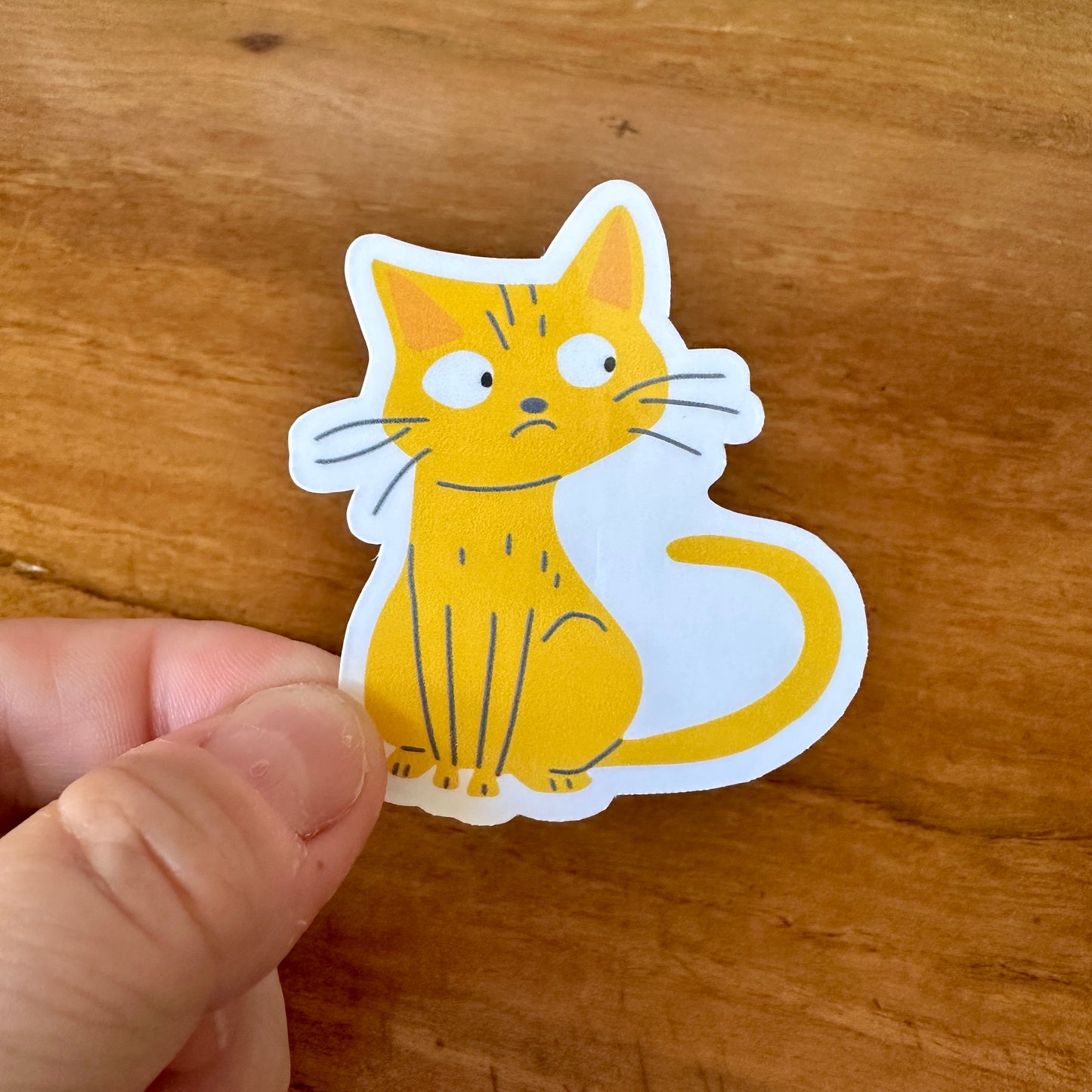Orange Cat Mini Bundle