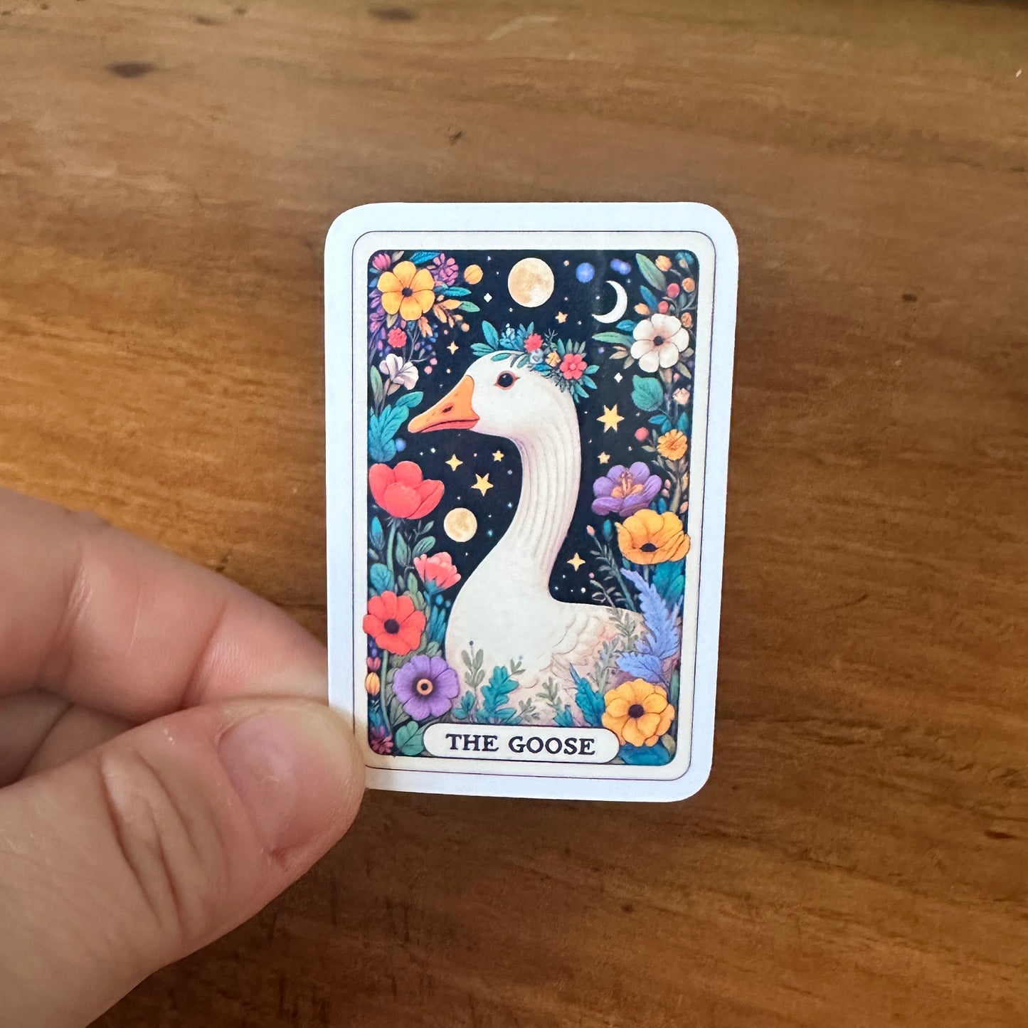 Silly Goose Bundle
