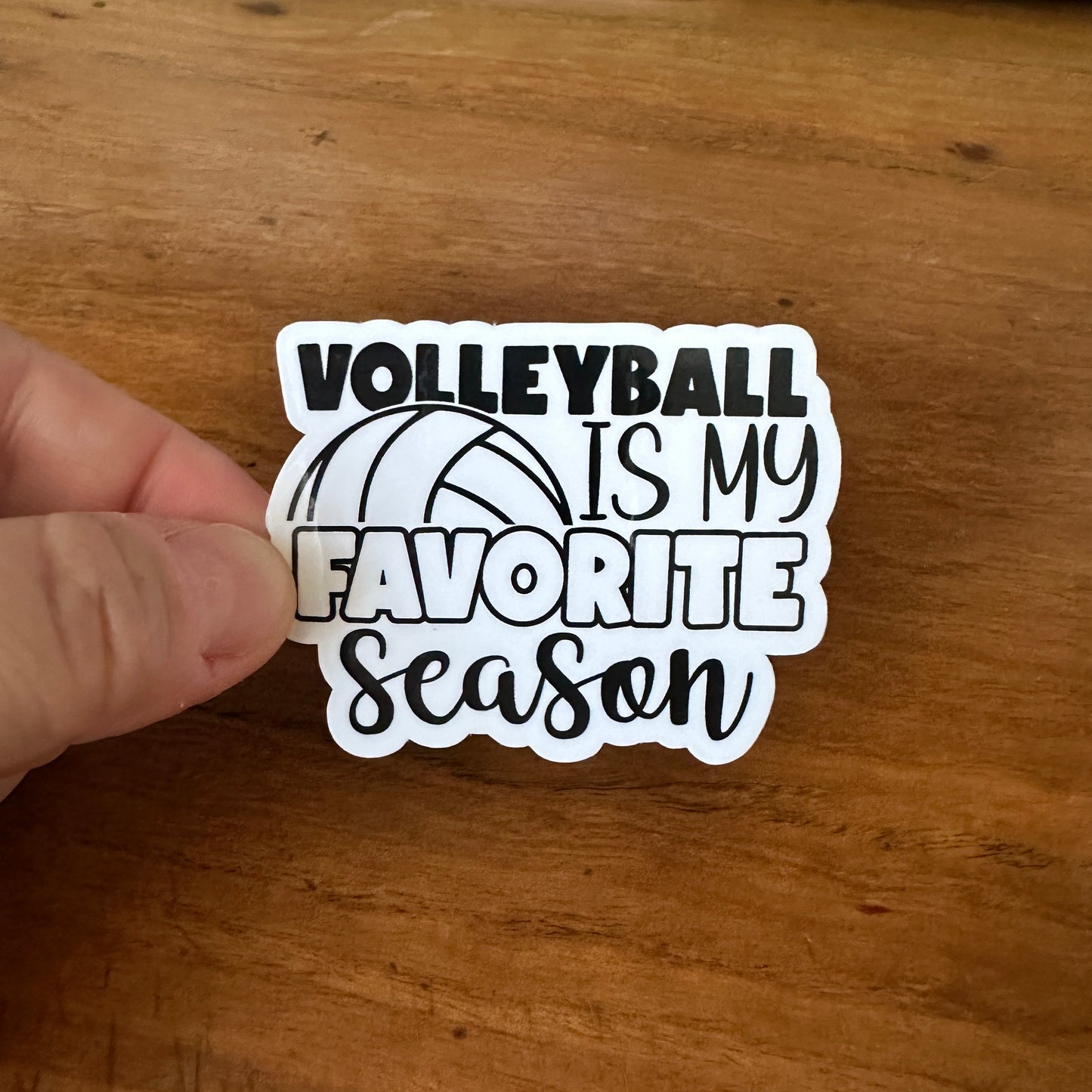 Volleyball Bundle