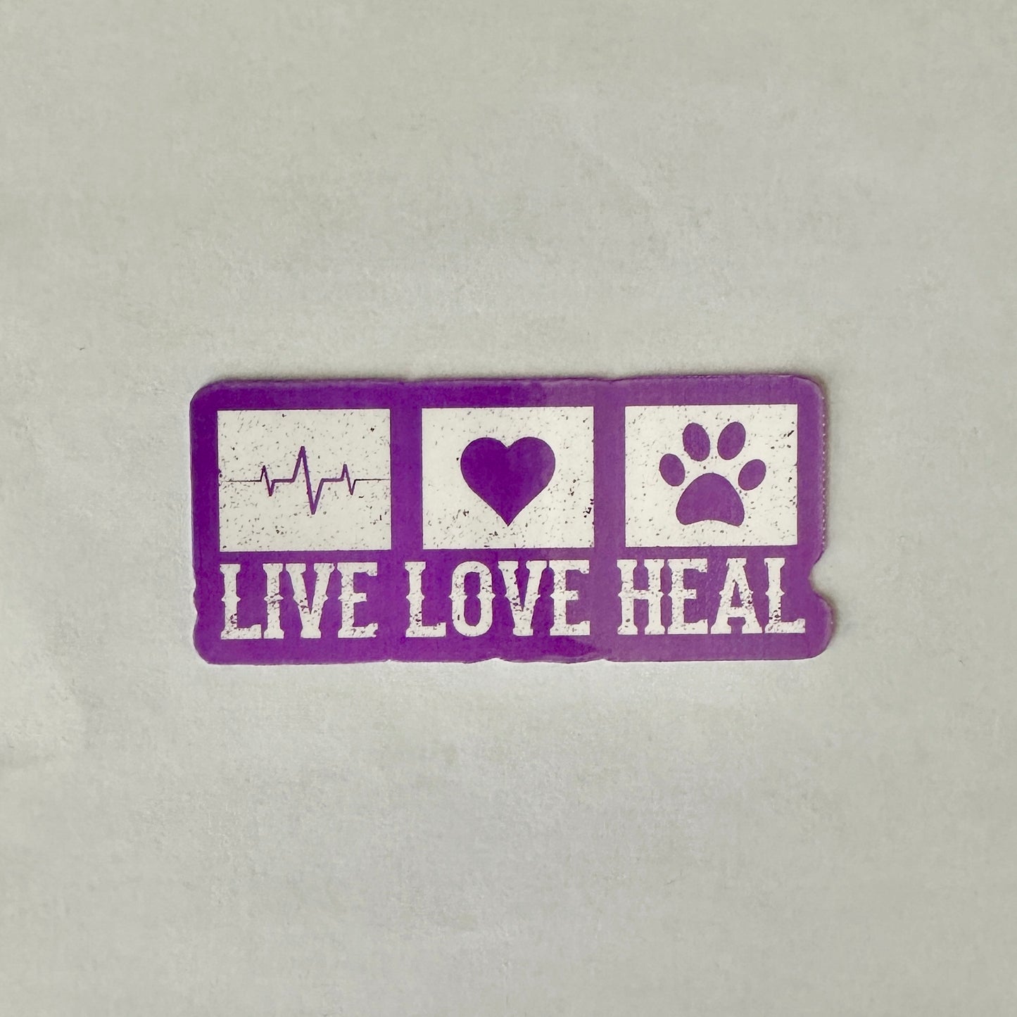 Vet Tech/Veterinarian Mini Bundle | 5-pack
